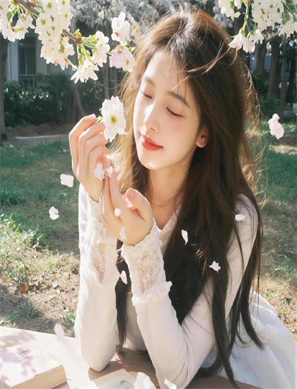 经典的战火中的女神（西语）市场表现对比：票房成绩与口碑关系